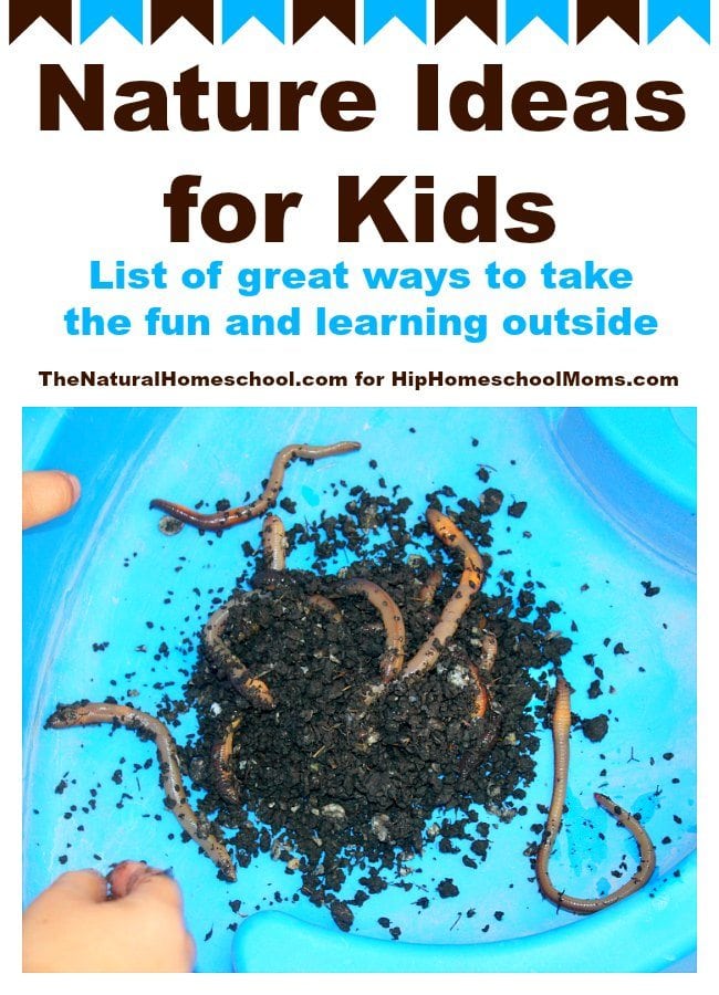 Nature Ideas for Kids